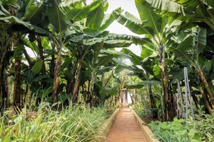 Jardín