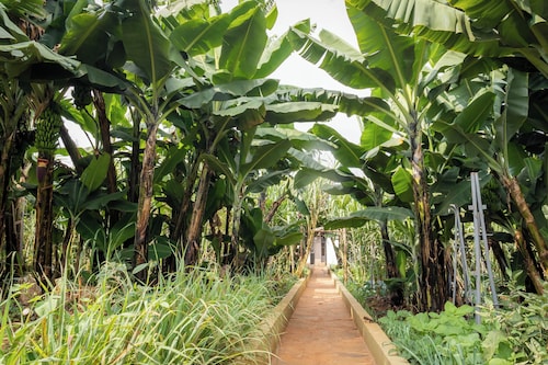 The Garden of Eden Retreat