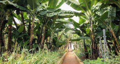 The Garden of Eden Retreat