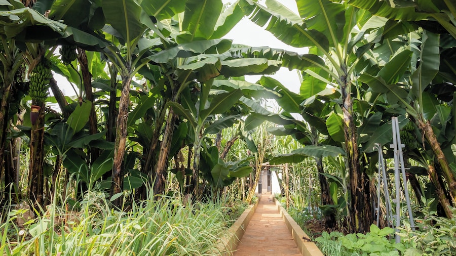 The Garden of Eden Retreat