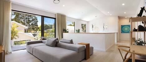 Télévision, cheminée, livres, espaces bureaux