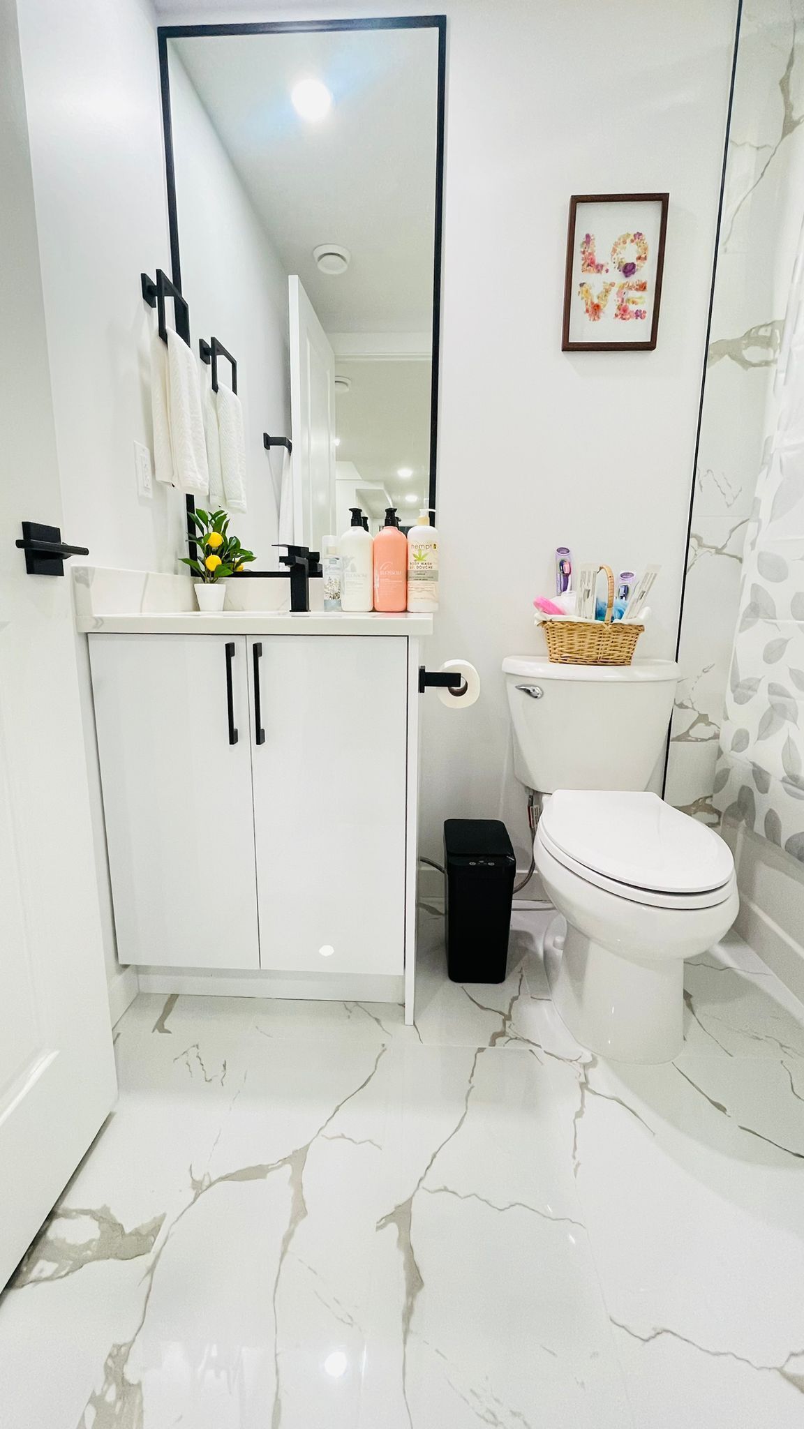 Hair dryer, towels, soap, toilet paper