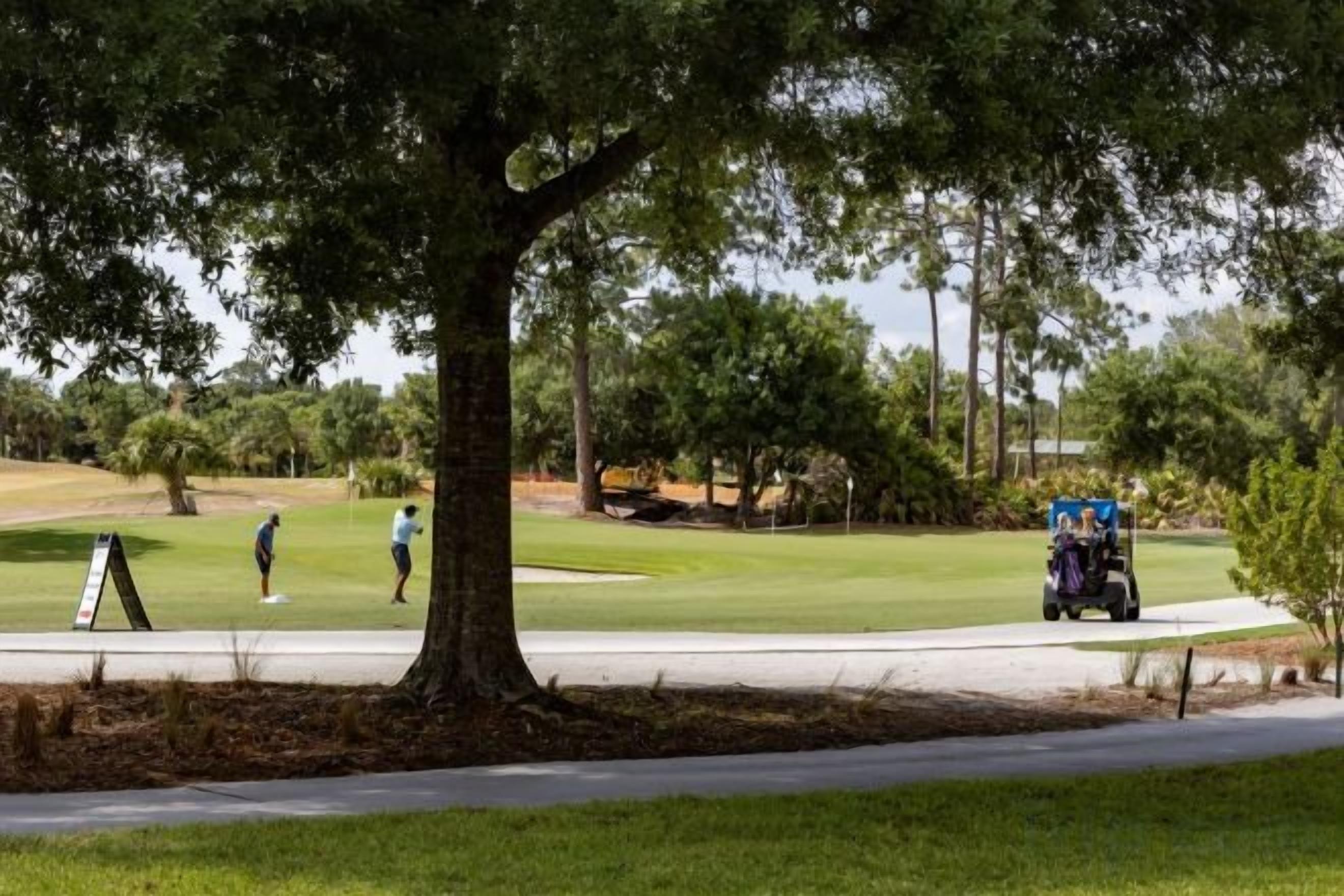 A golf course with a tree-lined path, a signboard, and a golf cart.