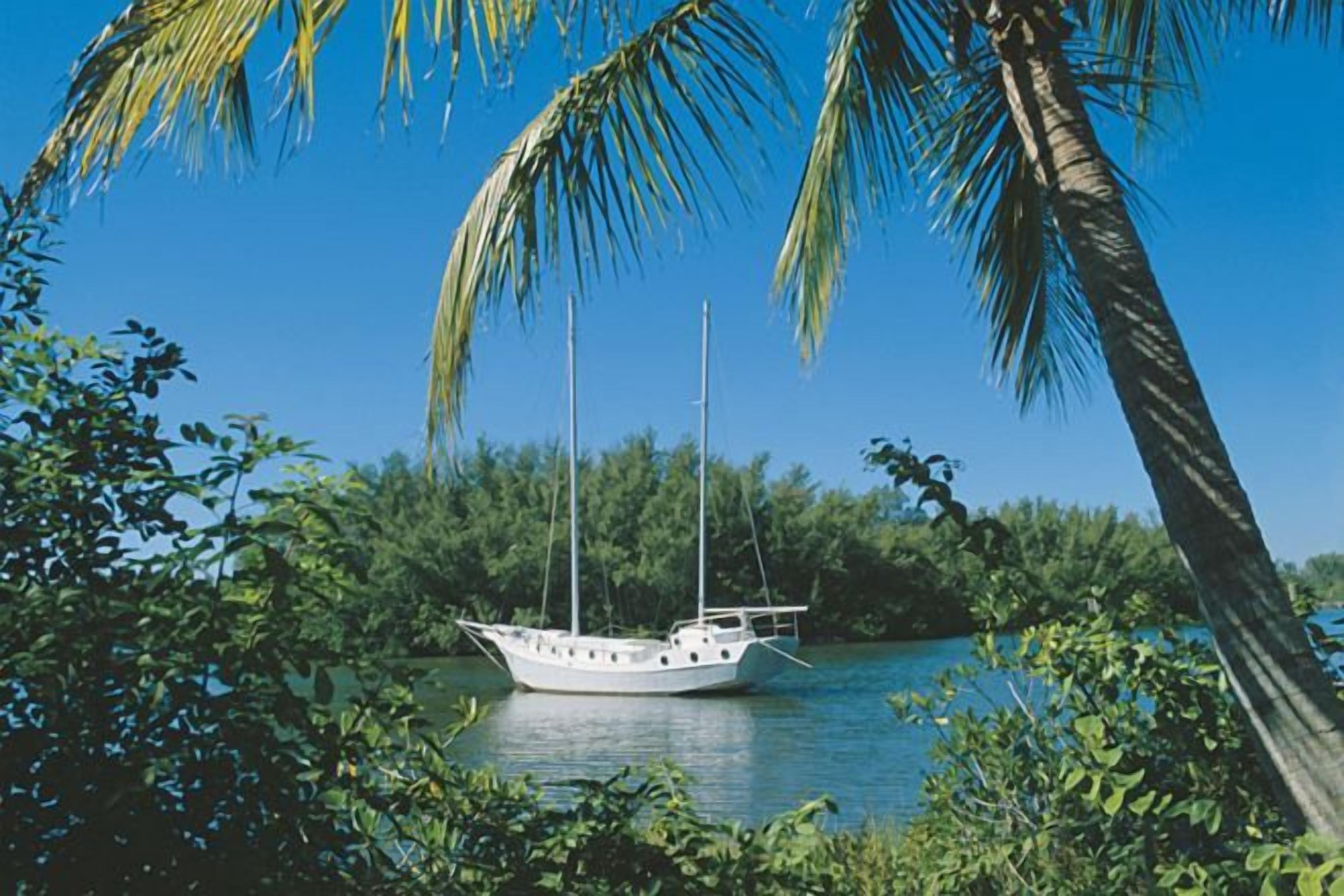A boat on a calm water body surrounded by dense greenery and palm trees.
