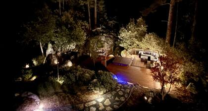 Elegant *Blackwood Grove* by Casa Oso