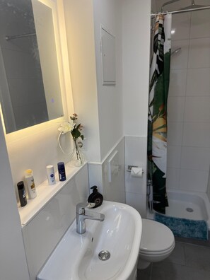 Shower, free toiletries, hair dryer, towels