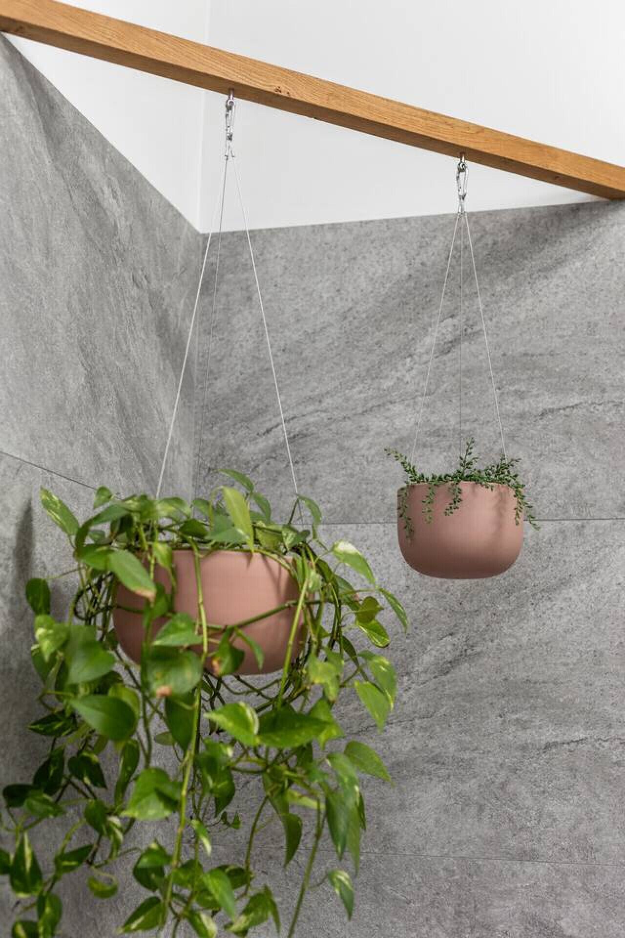 Two hanging planters with green plants against a grey wall.