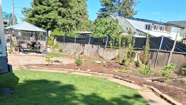 Un patio trasero con césped, jardines elevados y una terraza de madera.