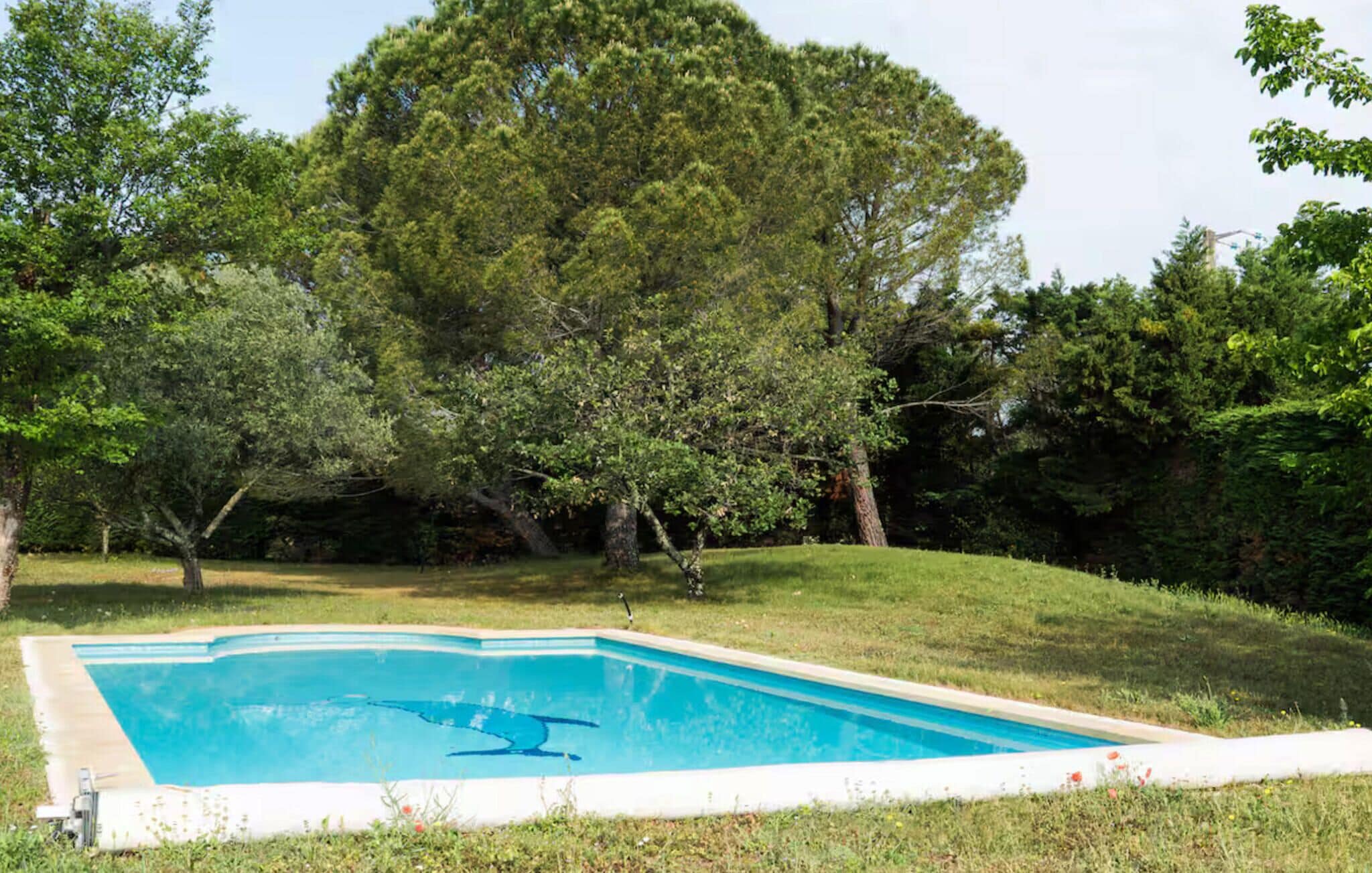 Une piscine rectangulaire à bordure blanche, entourée de pelouse et d’arbres.