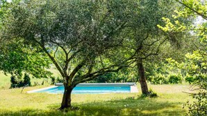 Area piscina con alberi e vista libera sulla vasca.