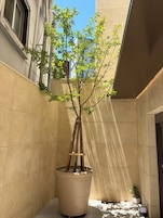 Jardín
