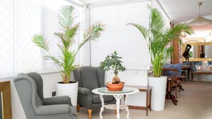 Una habitación con un sillón gris, una pequeña mesa redonda con una planta en maceta, y dos plantas grandes en macetas.