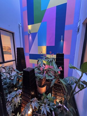 Interior - Beautiful inner city terrace close to airport, city, beaches, parks & transport. (Sydney)