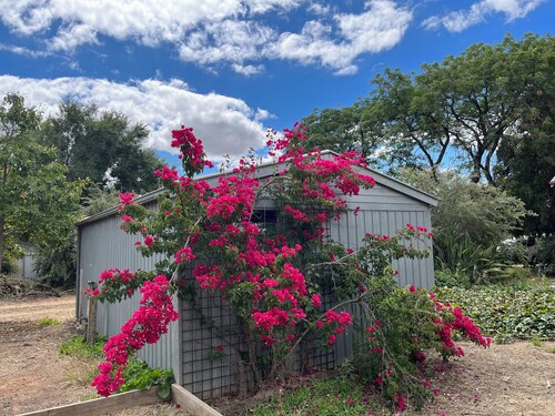 Wimmera Getaway close to all Murtoa attractions including the  great Stick Shed!