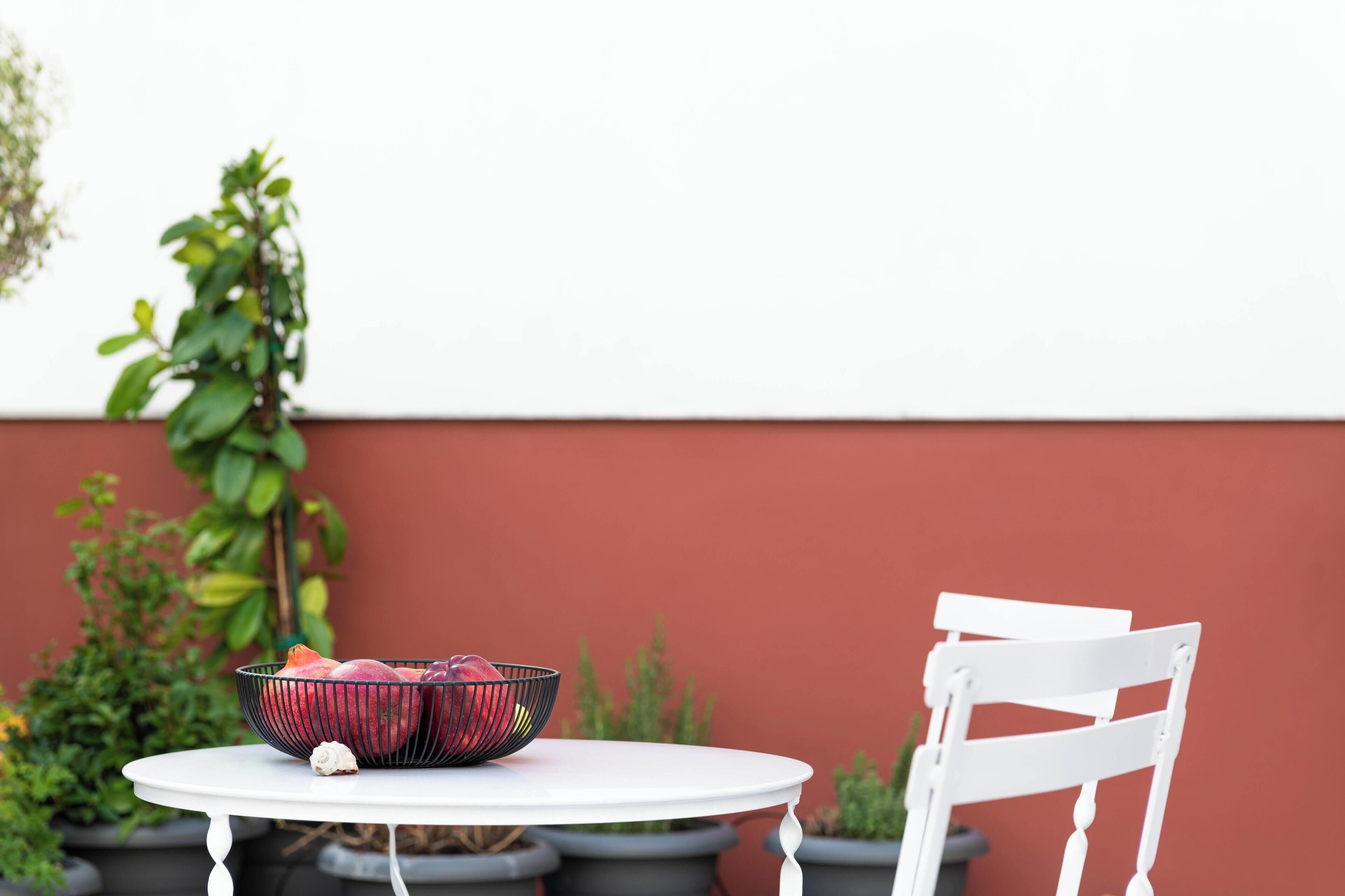 Terraza en la azotea