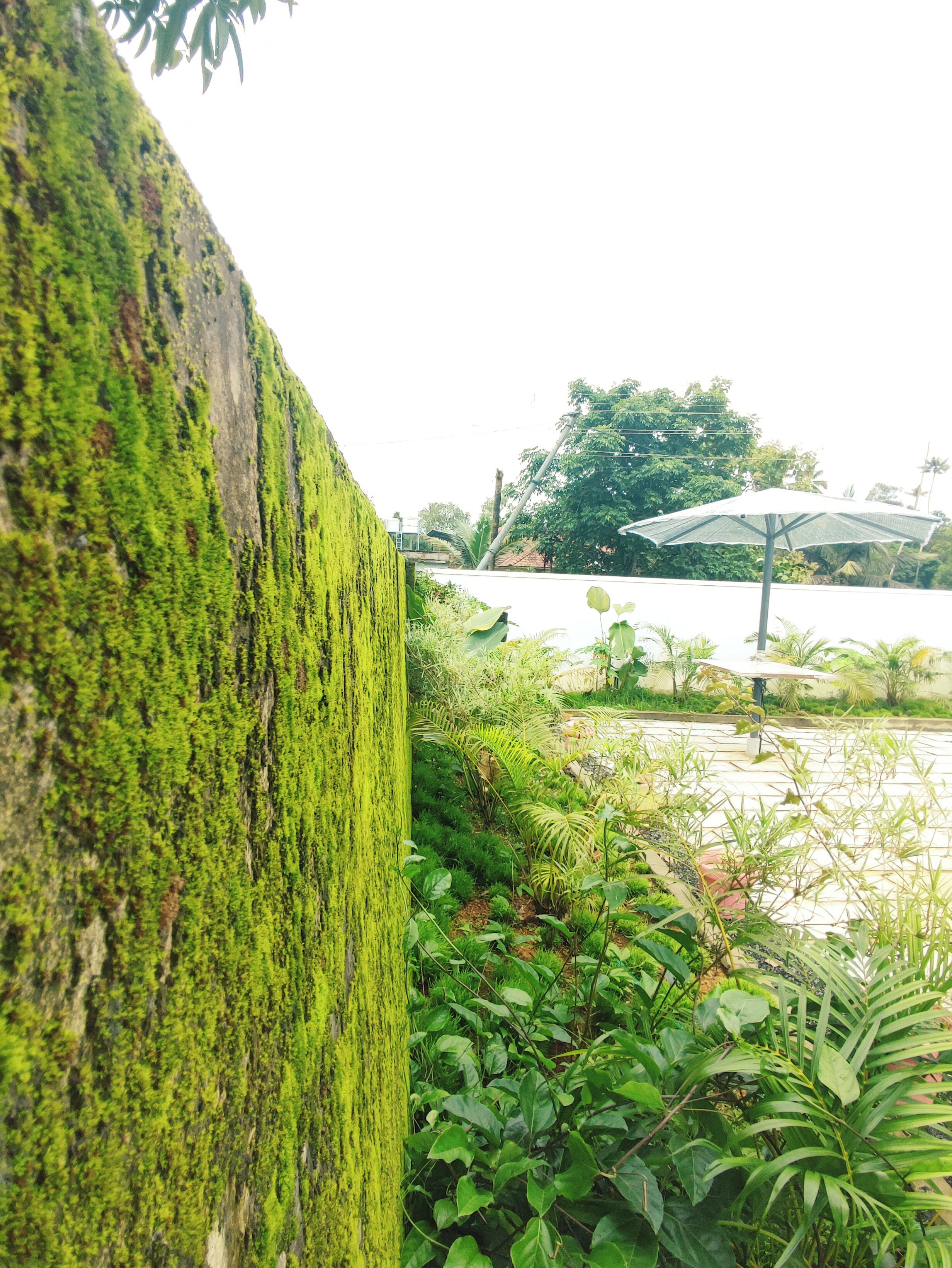 Parco della struttura