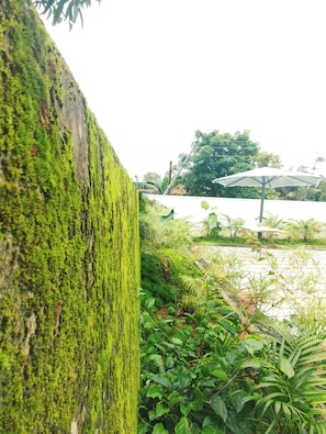 Àrea exterior de l'allotjament