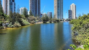 Un río con edificios altos a un lado y abundante vegetación al otro.