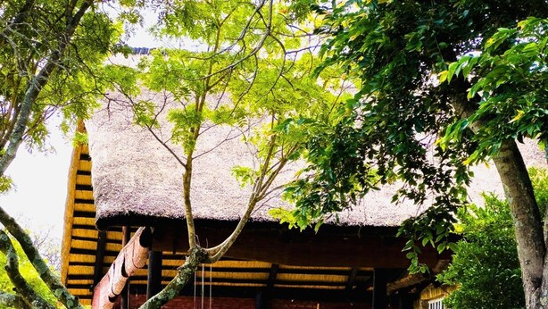 A thatched-roof structure with a wooden bench and a hanging shoe, surrounded by lush greenery and a garden path. - Luxury 5 bed Home in Juliasdale - 2309 (Juliasdale)