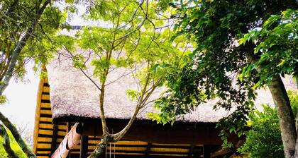 Luxury 5 bed Home in Juliasdale - 2309