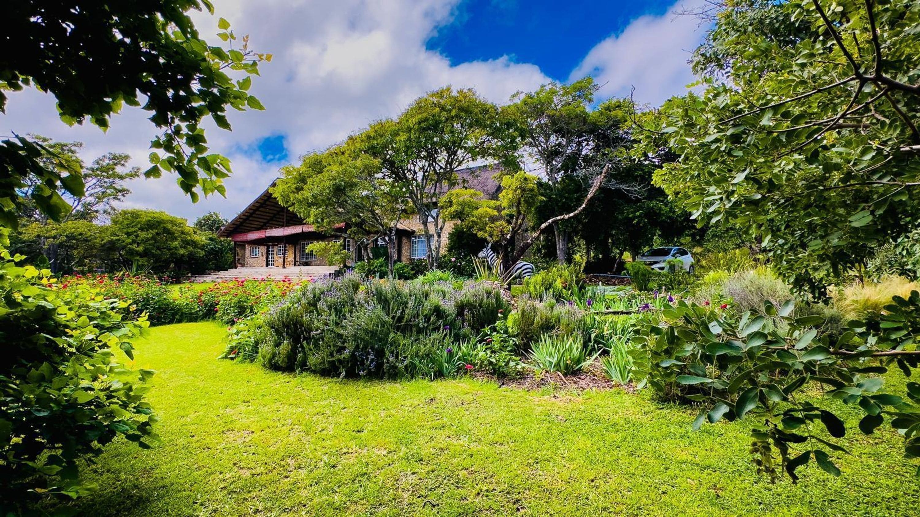 Una casa rodeada de abundante vegetación y un jardín cuidado.