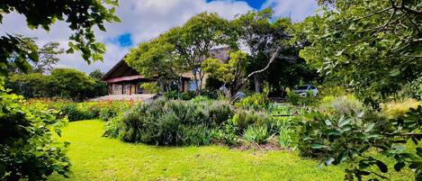 Una casa rodeada de abundante vegetación y un jardín cuidado.