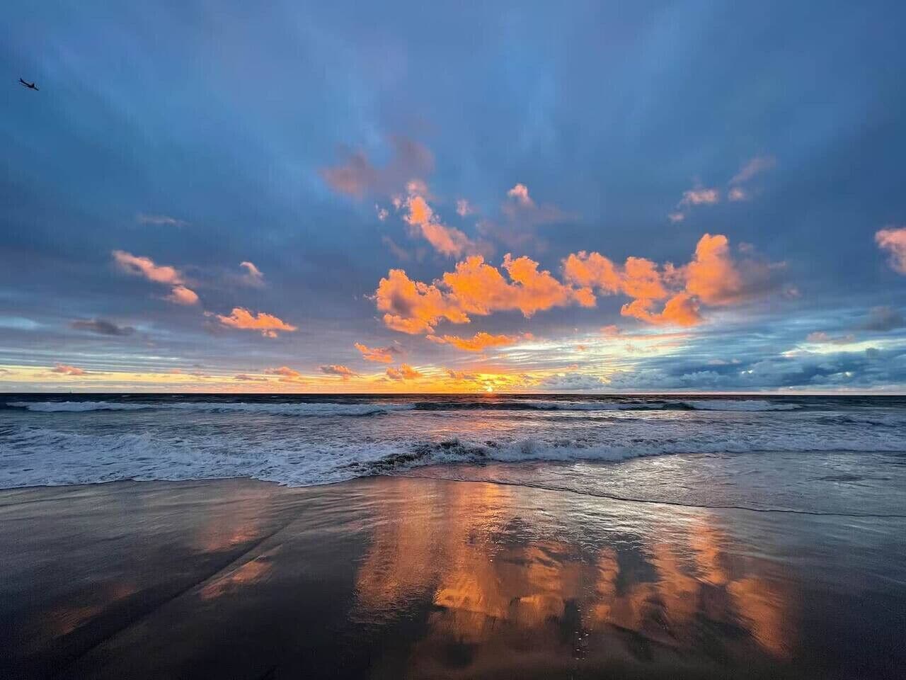 在海灘  附近