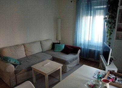 Room-charming Guest Room in Heart of Bad