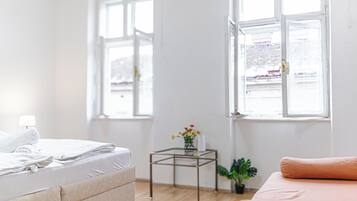Basic-Apartment | Ausblick vom Zimmer