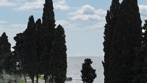 Vista da piscina com céu claro, árvores altas e uma estrada com cerca e bancos.