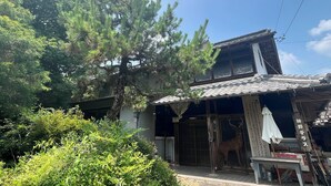 未分類的圖片,第 2 張,共 11 張,按鈕
