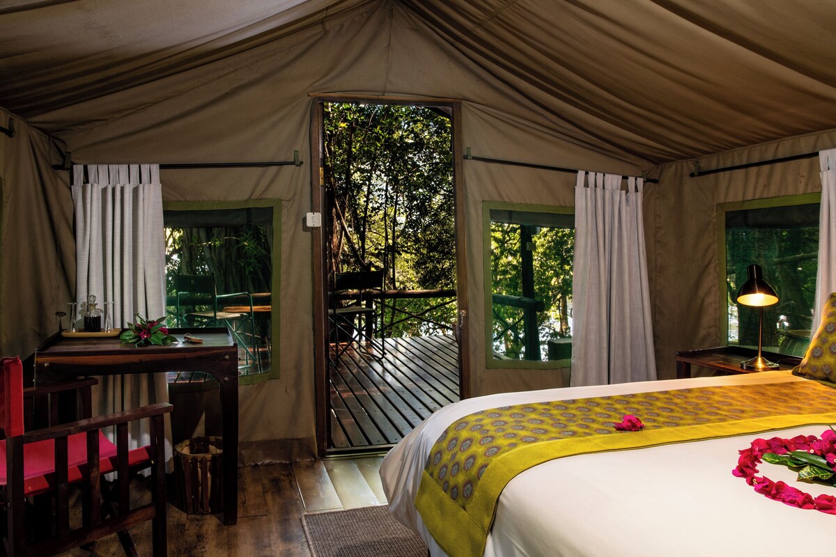 A tented room with a bed, a desk, and a chair. There is a window with curtains and a view of trees.