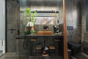 Ducha, secador de pelo y toallas