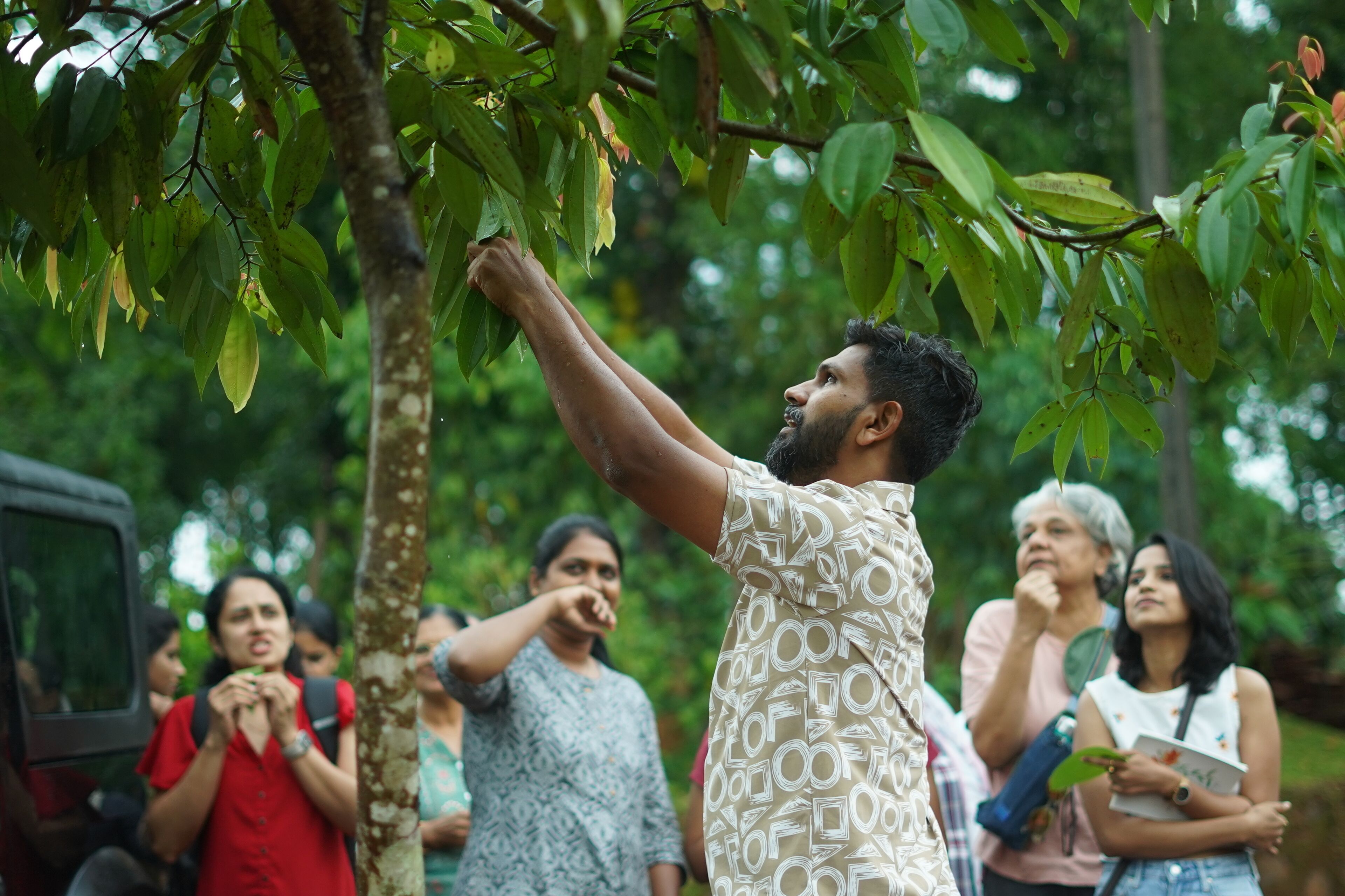 A group of people in an outdoor setting, some looking up at a tree.