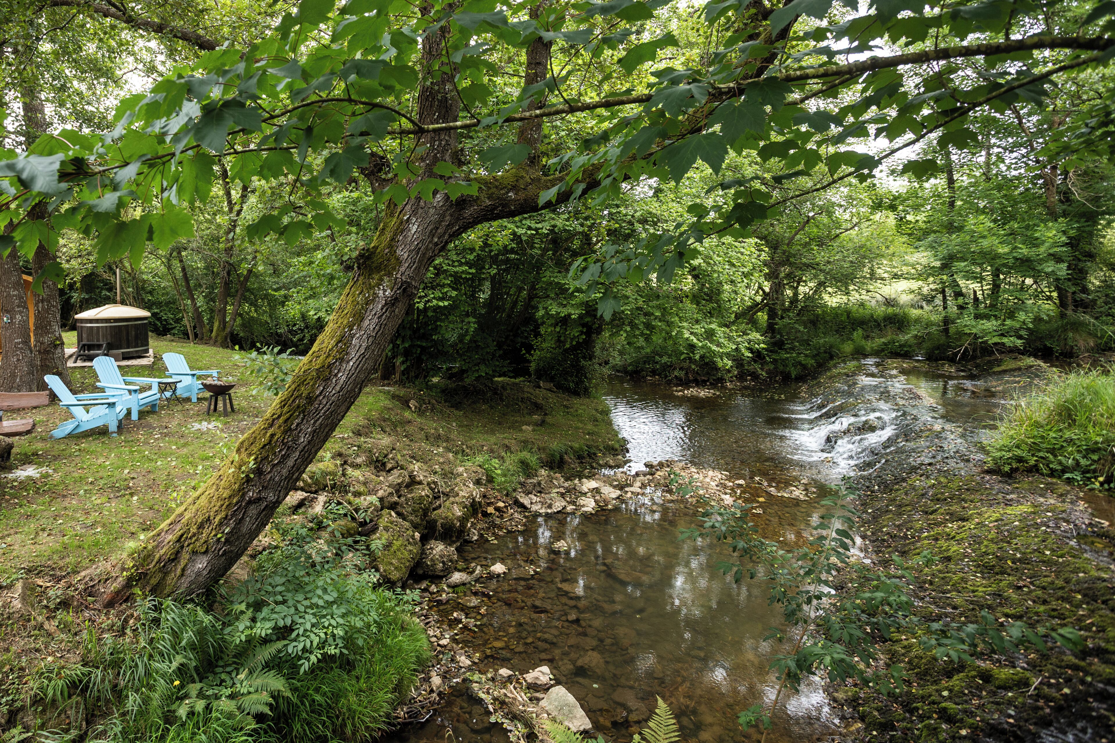 A natural setting with a stream, trees, and outdoor seating.