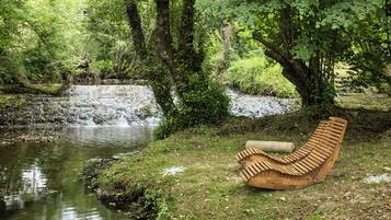 A wooden bench by a river in a forested area.