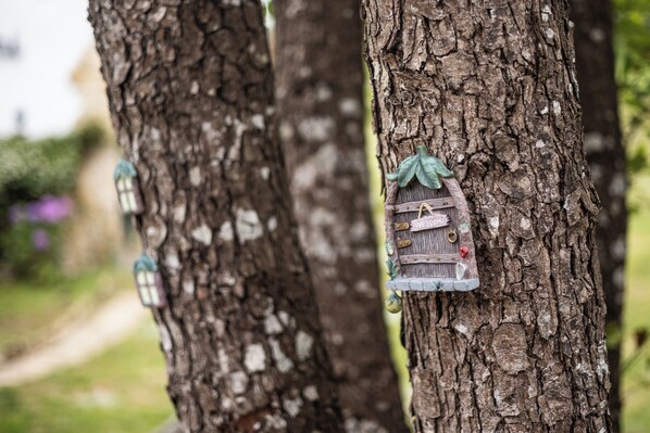 A tree with a small birdhouse attached to it. - Santuario Kunturi (Llanes)