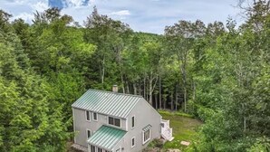 A two-story house with a green roof, surrounded by dense forest.