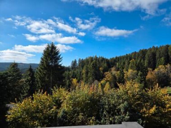 Un paysage boisé sous un ciel dégagé.