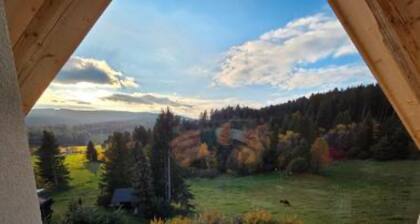Apartment 'Schwarzwaldblick Brünlisbach-2' with Mountain View, Shared Garden and Wi-Fi