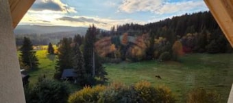 Apartamento 'Schwarzwaldblick Brünlisbach-2' con vistas a la montaña, jardín comunitario y Wi-Fi