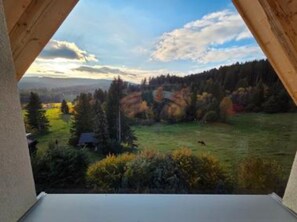 Une vue par une fenêtre à cadre en bois, donnant sur un champ verdoyant parsemé d’arbres et sur une forêt lointaine.