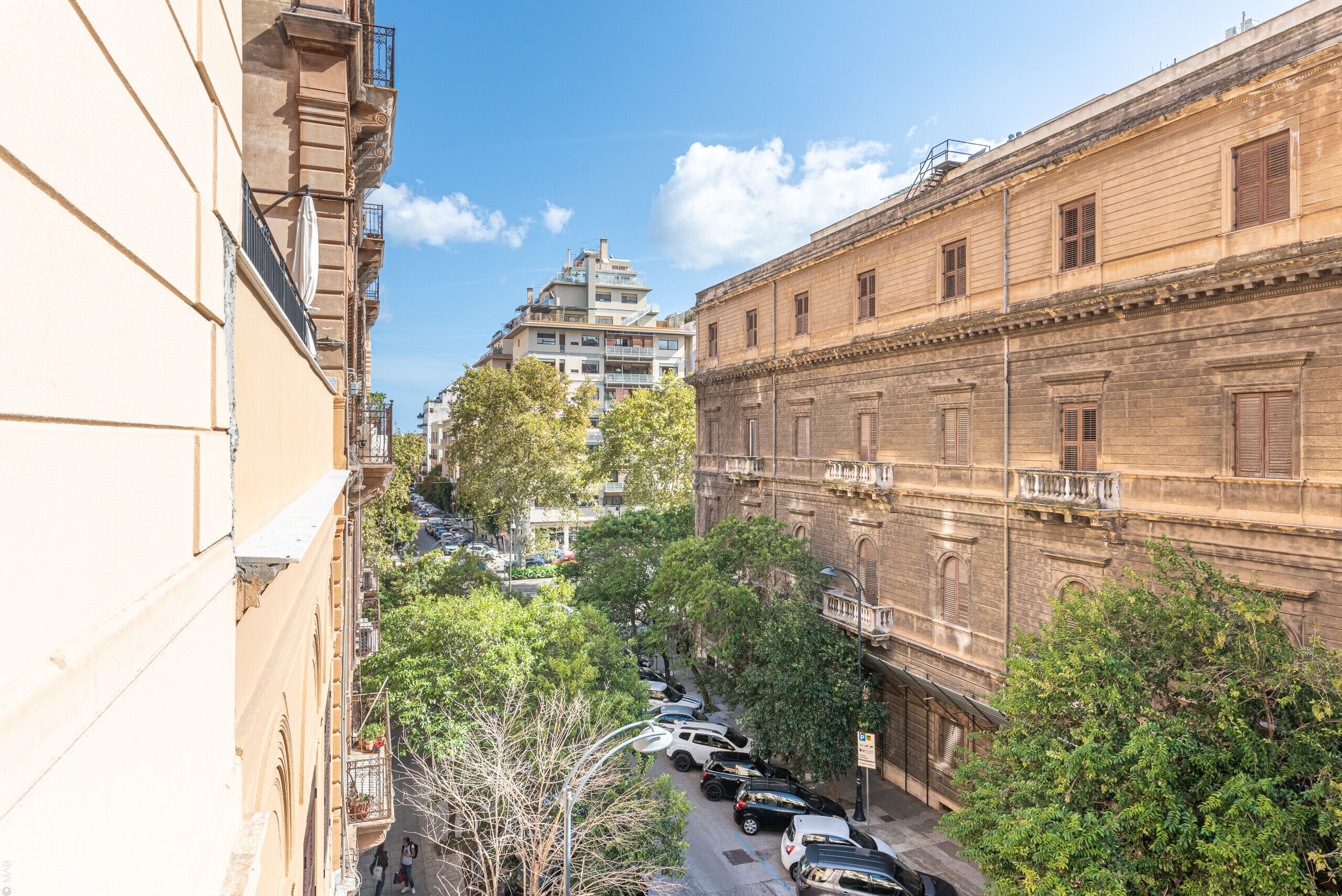 A narrow street with parked cars and trees lining the sides.
