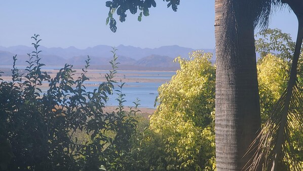 Vista de un lago con montañas al fondo, rodeado de vegetación.