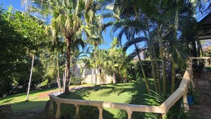 Um jardim exuberante com palmeiras e um banco de pedra.