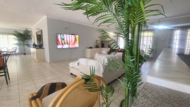 Uma sala ampla com uma cama grande, televisão e vários vasos com plantas.