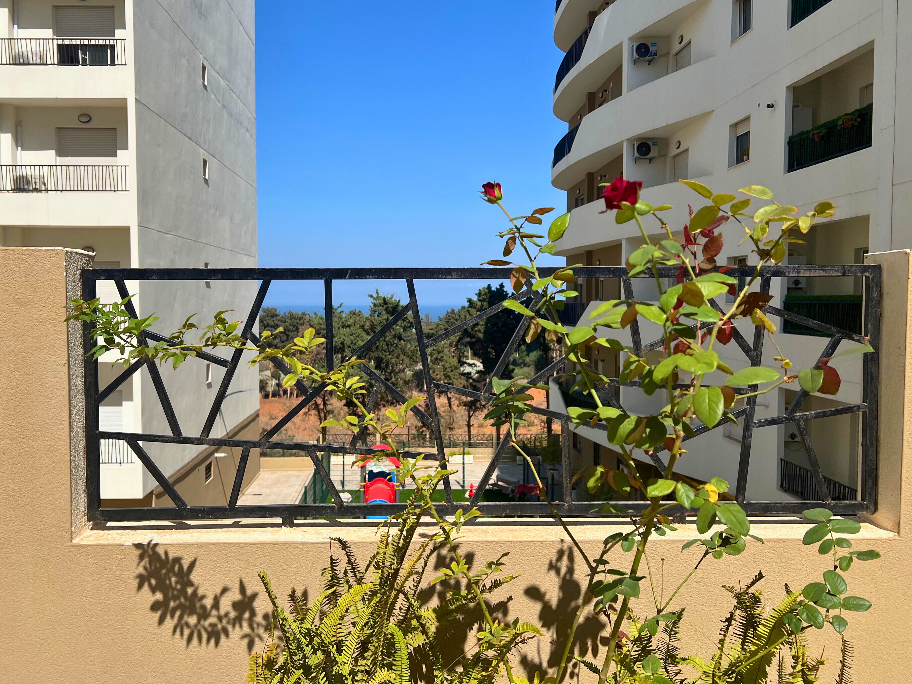 Àrea exterior de l'allotjament