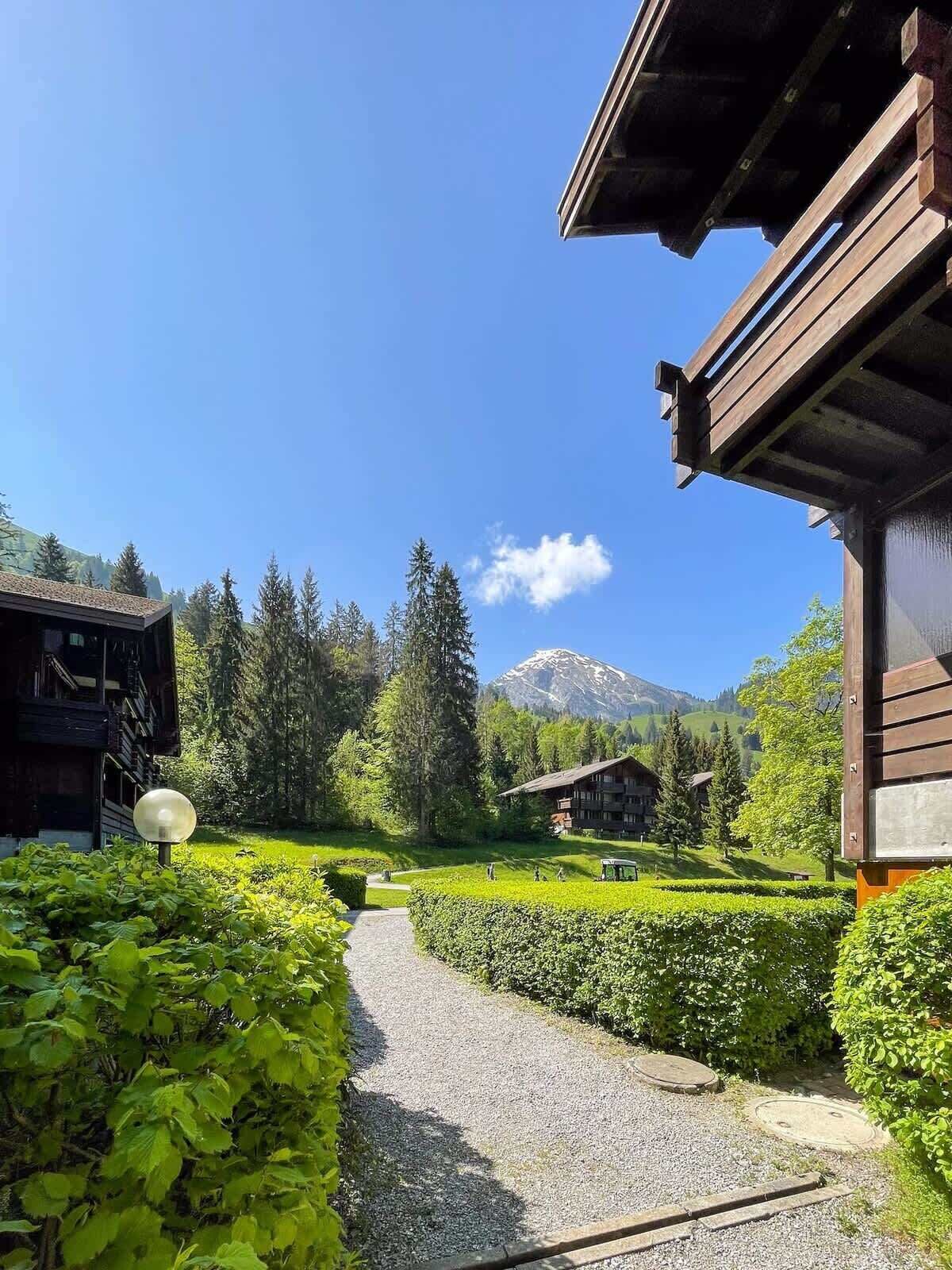 Terrain de l’hébergement 