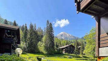 Terrain de l’hébergement