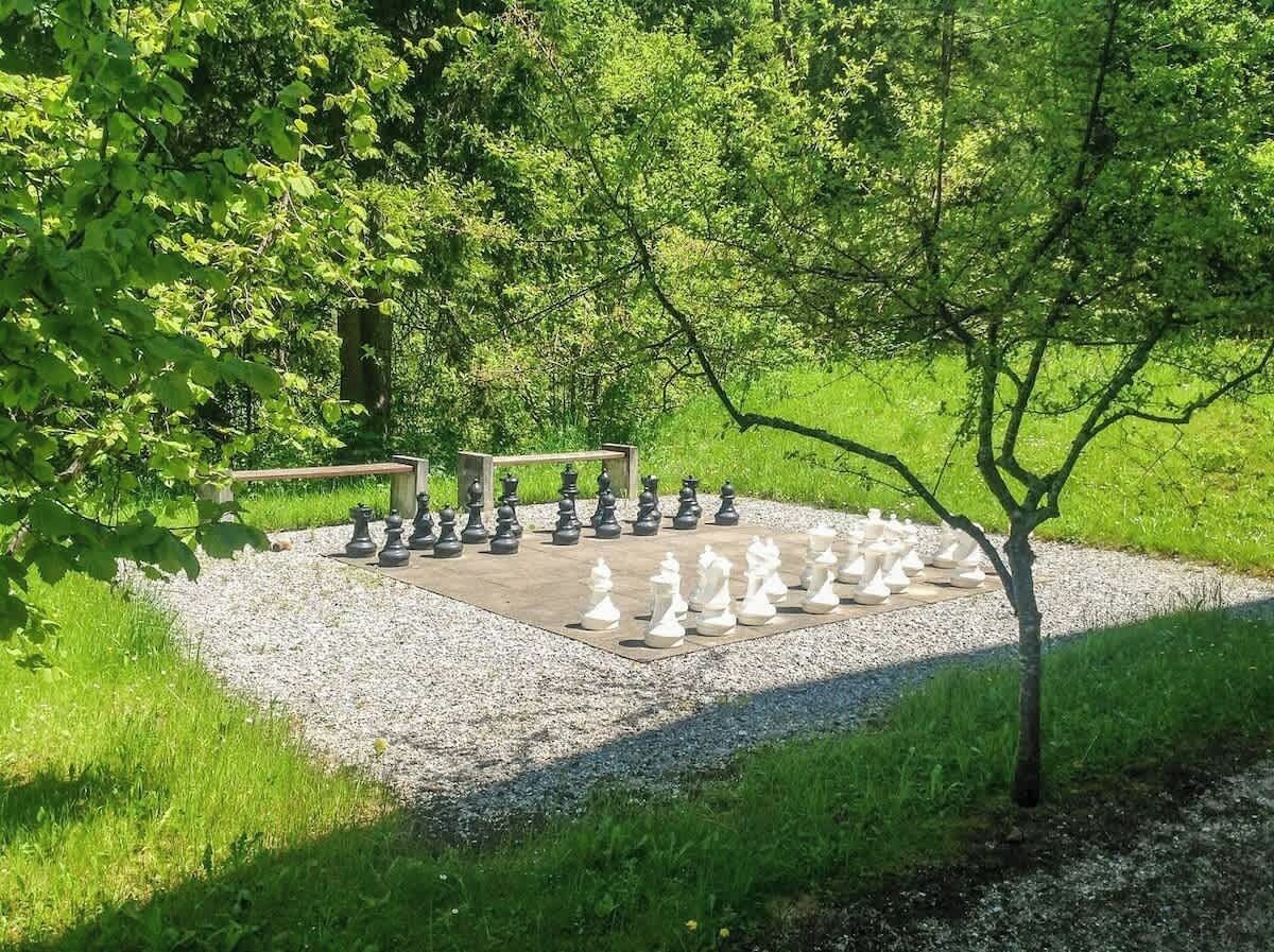 Ein Schachbrett draußen aufgestellt, mit einer Bank und einem Baum in der Nähe.